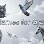 Names For Gray