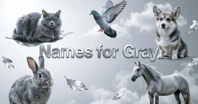 Names For Gray